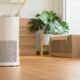 Learn about the best indoor air purification systems on our blog.